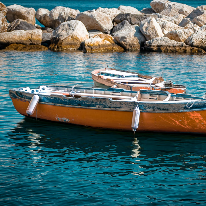 Filetti_di_tonno_banner_centrale | Olio Pace