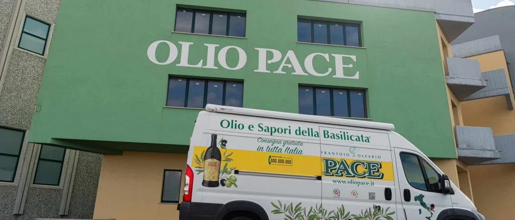 olio-pace-banner-le-persone-4-1024x438 | Olio Pace