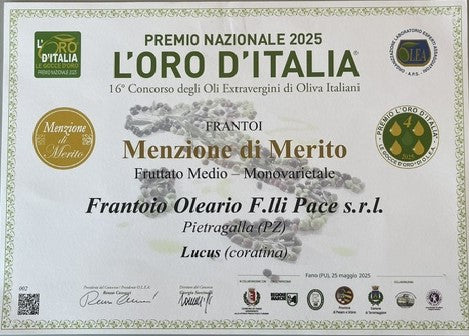 L'Oro d'Italia <em>2025</em>