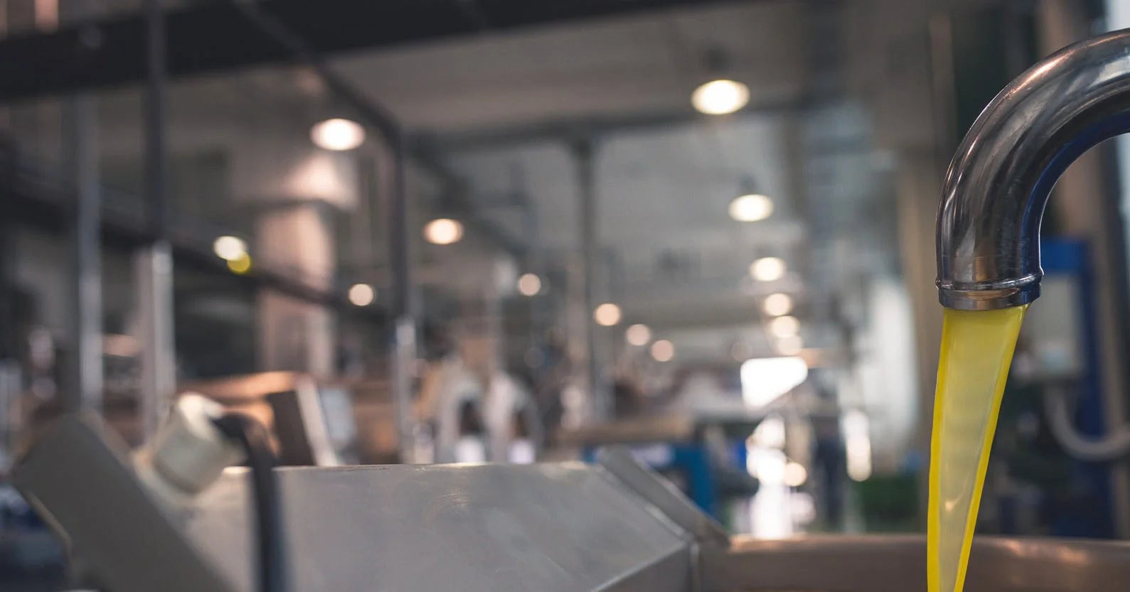 pace-filiera-sicura | Olio Pace