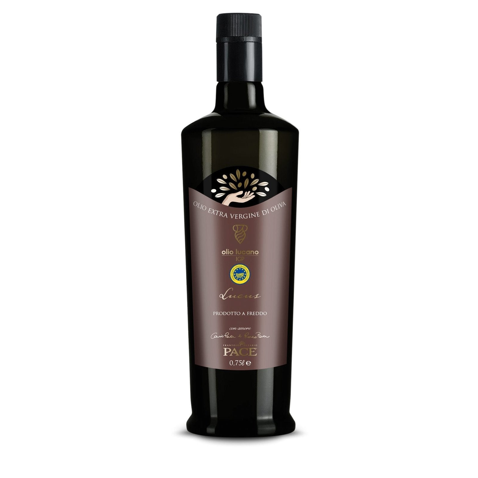 Olio Extravergine di Oliva I.G.P OLIO LUCANO