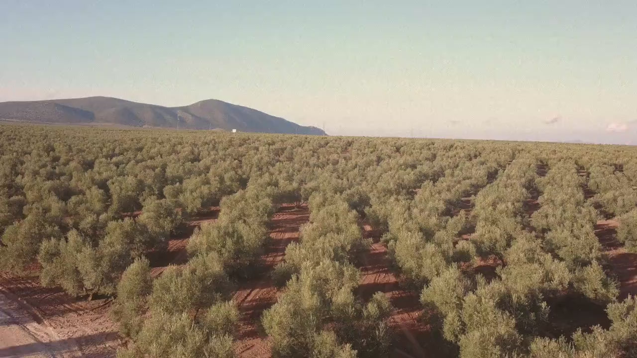 Carica video: olio-pace-banner-video-home | Olio Pace